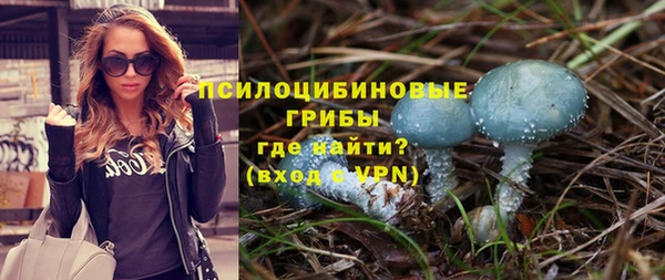 дживик Алексин