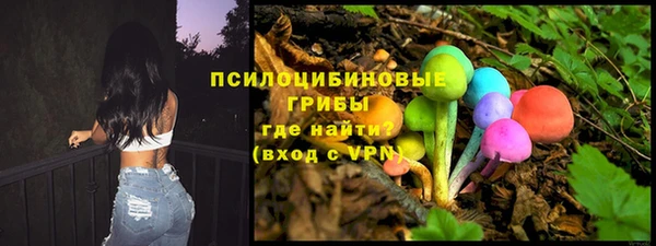 apvp Аркадак